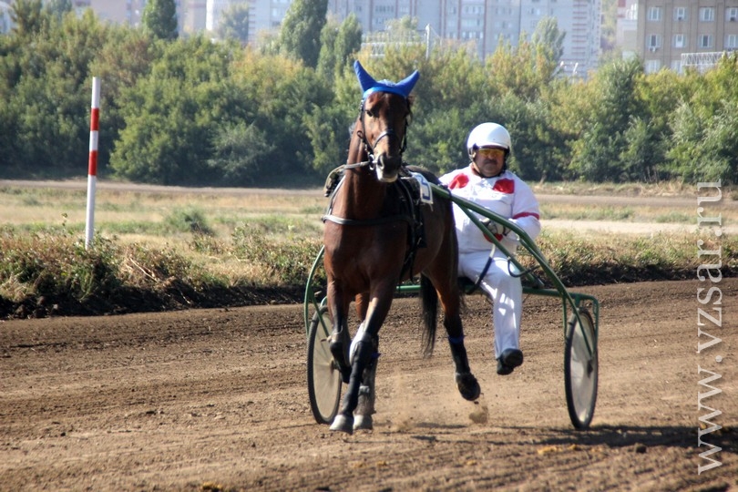 Радаев наградил победителя конных состязаний на Кубок губернатора