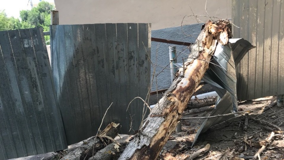 Рухнувшее дерево уничтожило забор детского сада