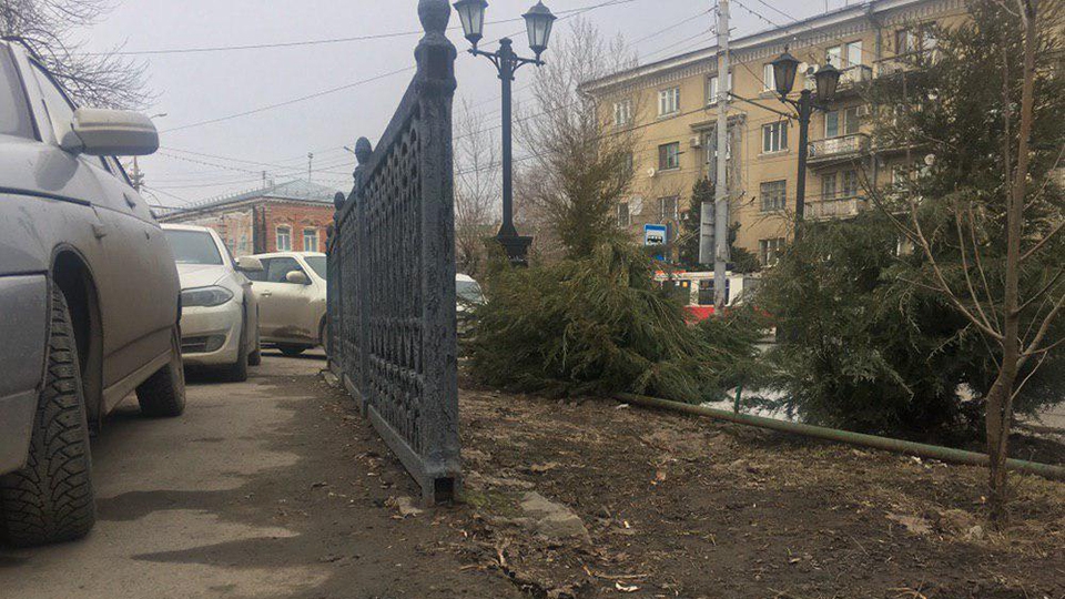 Саратовский сквер Первой учительницы лишился старинной чугунной ограды