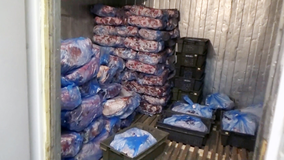 В гаражах Солнечного полиция нашла 3,5 тонны мороженого мяса