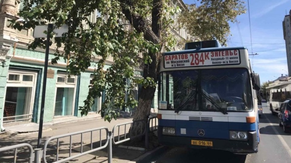 На Московской и Радищева дерево обрушилось на городской автобус