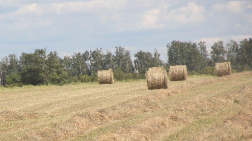 Фермер задолжал своим работникам больше 800 тысяч рублей