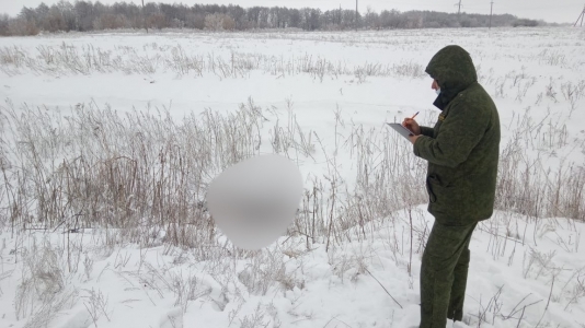 Пропавшего на Рождество мужчину нашли замерзшим в снегу