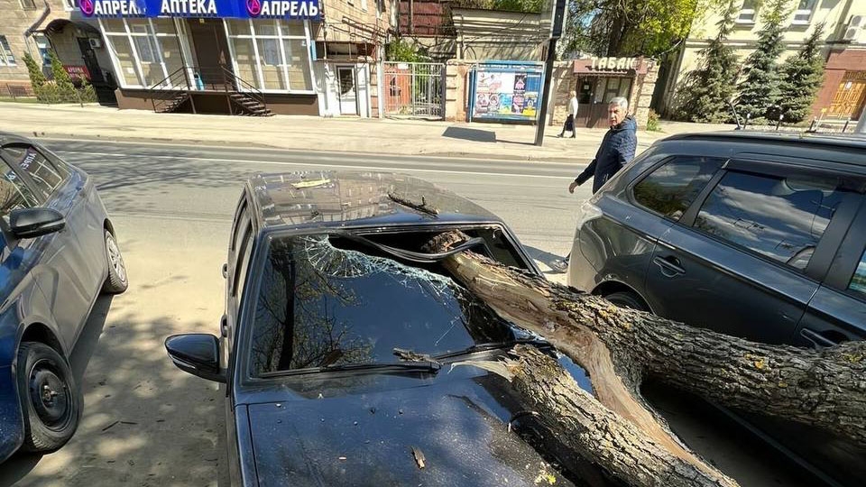 Рухнувшее дерево повредило автомобили на Московской