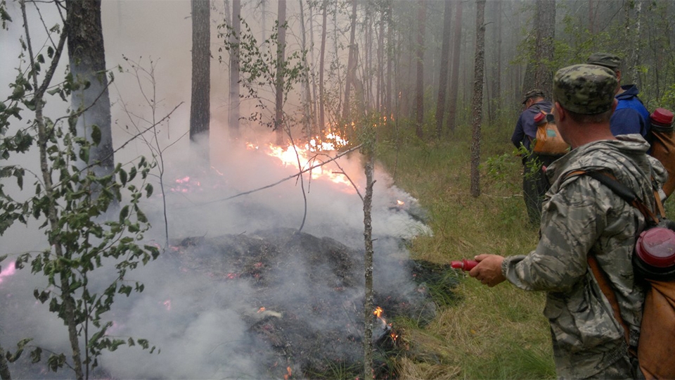 Летом в саратовских лесах ожидается сложная ситуация с пожарами