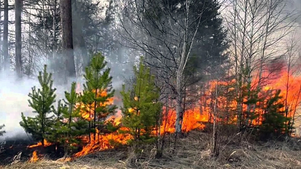 Оранжевый уровень: в Саратове сохраняется чрезвычайная пожарная опасность