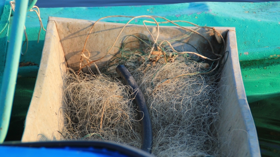 Житель Энгельса отработает браконьерскую рыбалку сетями