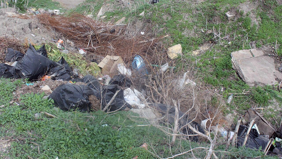 Ущерб от мусорных куч под Татищевом оценили в миллион рублей