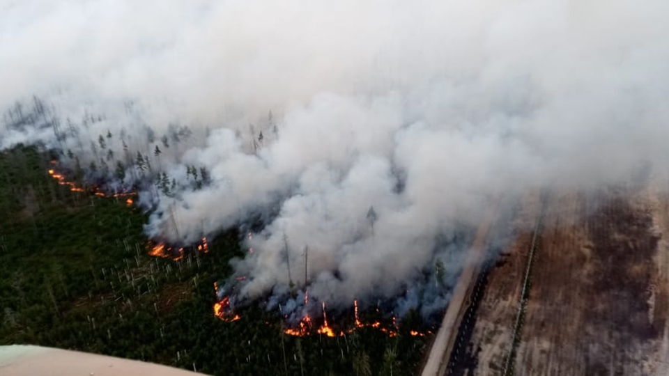 В этом году огонь уничтожил почти 17 гектаров леса в Саратовской области