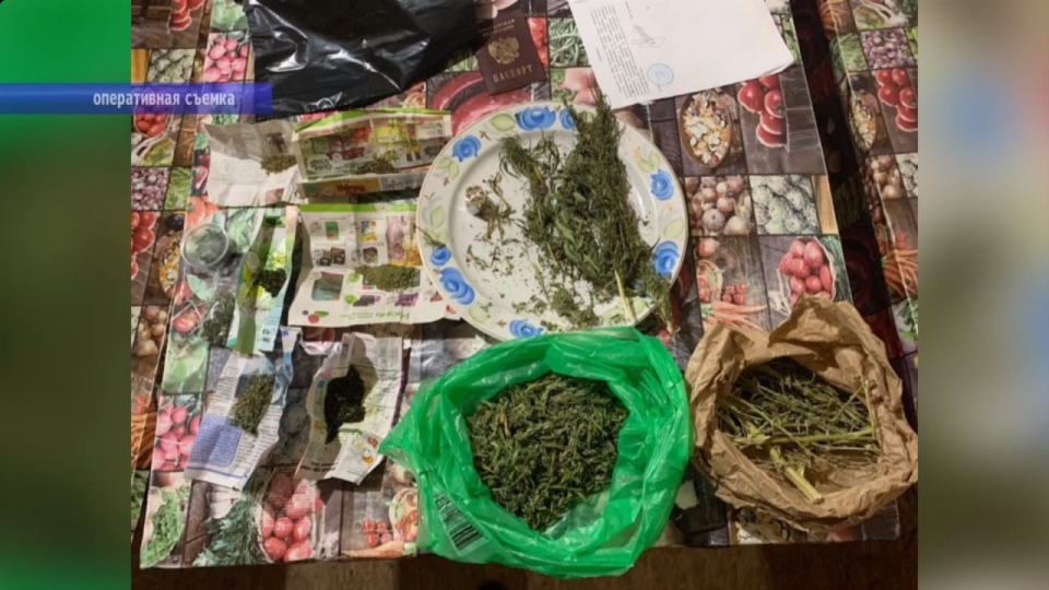 Наркополицейские при поддержке спецназа задержали дачника с 3 кг марихуаны