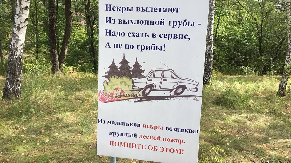 В Саратовской области по вине граждан сгорело 62 гектара леса