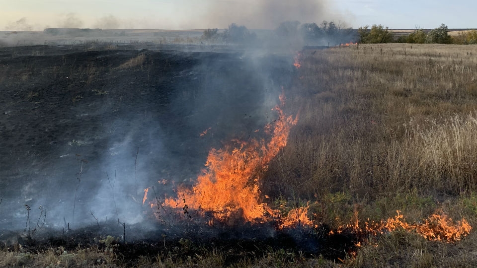 Пожароопасный сезон в Саратовской области официально завершен