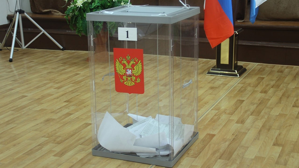 Выборы. За два дня в Саратовской области явка превысила миллион человек