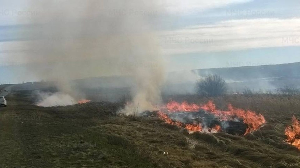 В саратовских лесах начался пожароопасный сезон