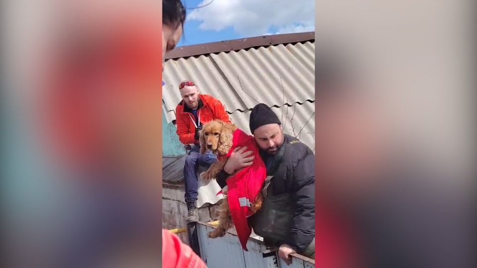 Наводнение. Саратовские активисты помогали жителям Оренбуржья