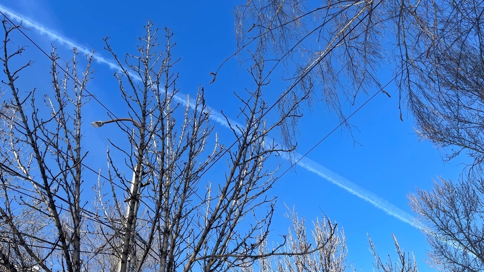 В четверг в Саратове немного потеплеет