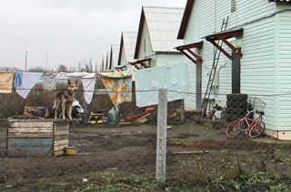 Сирота аткарская