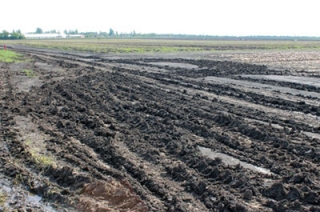 Год дорог. Глава Саратова возмущен приоритетами областной думы Год дорог. Глава Саратова возмущен приоритетами областной думы
