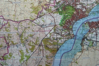 Ангелы на службе Элвиса