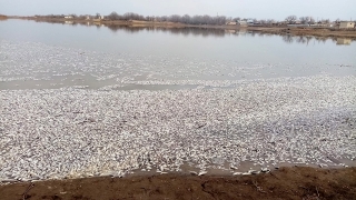 рыба в реке идолга. Смотреть фото рыба в реке идолга. Смотреть картинку рыба в реке идолга. Картинка про рыба в реке идолга. Фото рыба в реке идолга рыба в реке идолга. Смотреть фото рыба в реке идолга. Смотреть картинку рыба в реке идолга. Картинка про рыба в реке идолга. Фото рыба в реке идолга