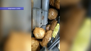 Под Саратовом задержали наркокурьеров при перевозке 10 кг мефедрона