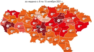 226059 костин министр здравоохранения телефон