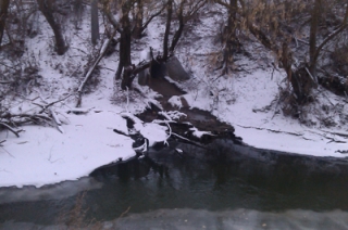 Очевидцы: в Медведицу продолжают сливать неочищенные стоки