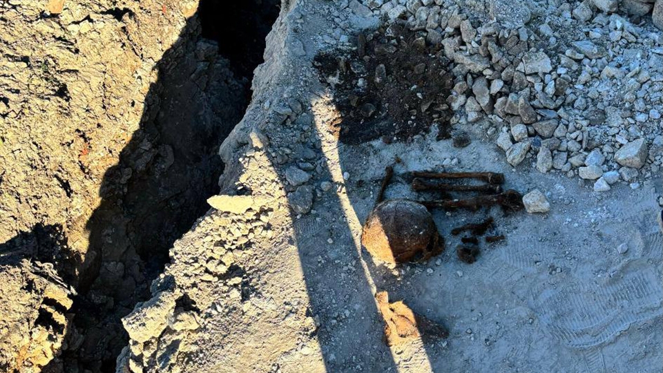 Тракторист копал траншею и нашел человеческий череп | Новости Саратова ...