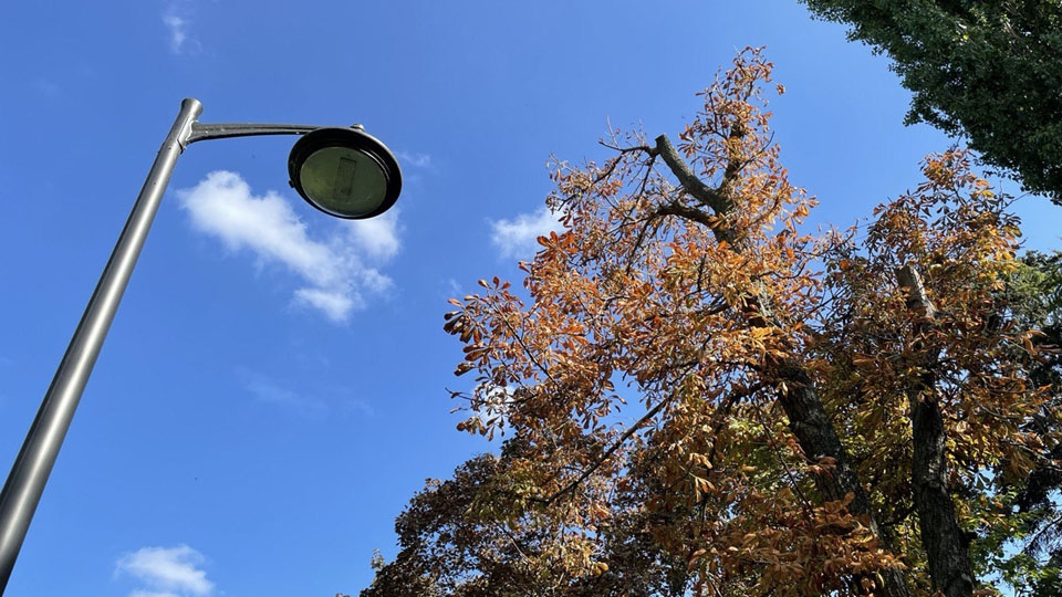 В Саратовскую область приходит климатическая осень | Новости Саратова и ...